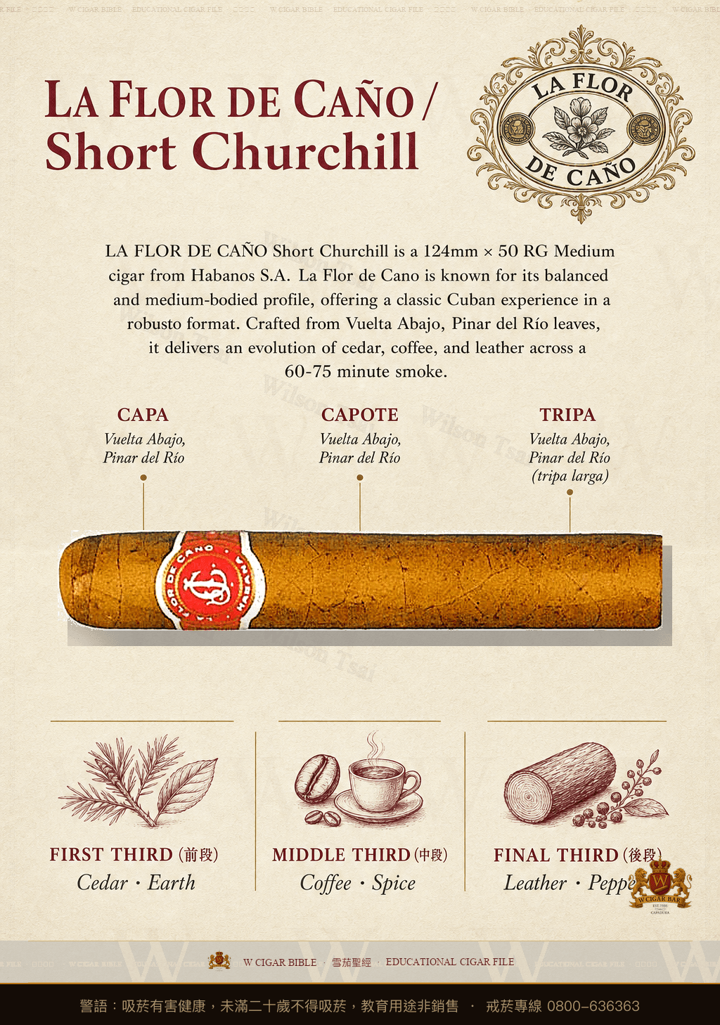 La Flor De Caño Short Churchill · 拉佛德加諾