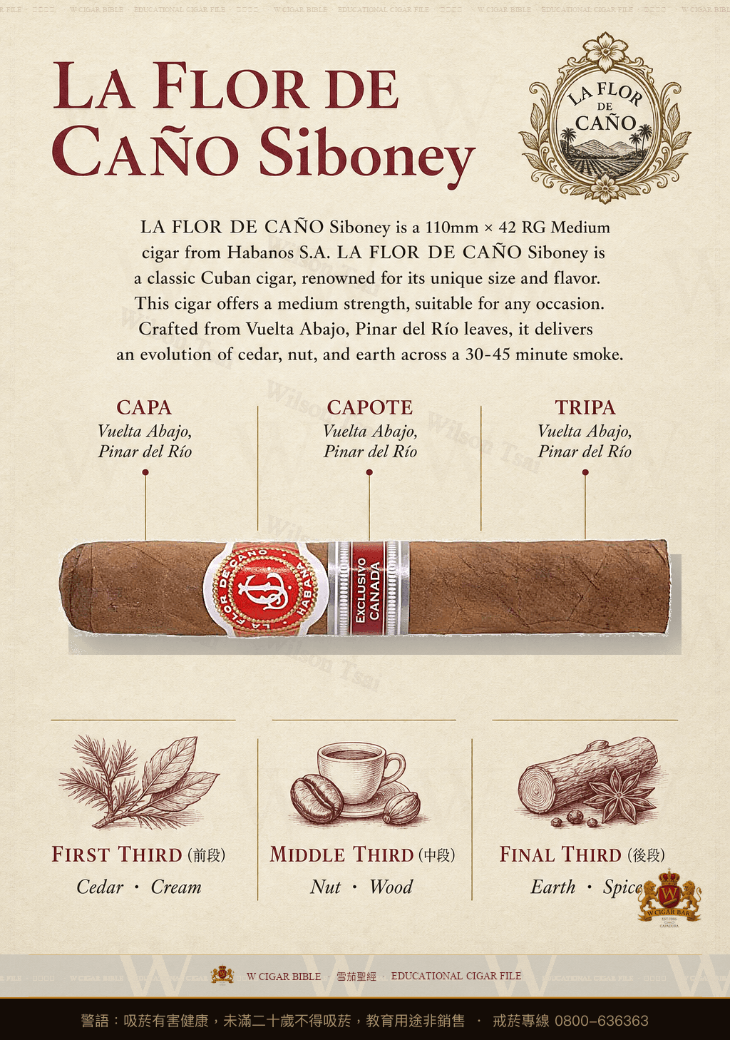 La Flor De Caño Siboney · 拉佛德加諾
