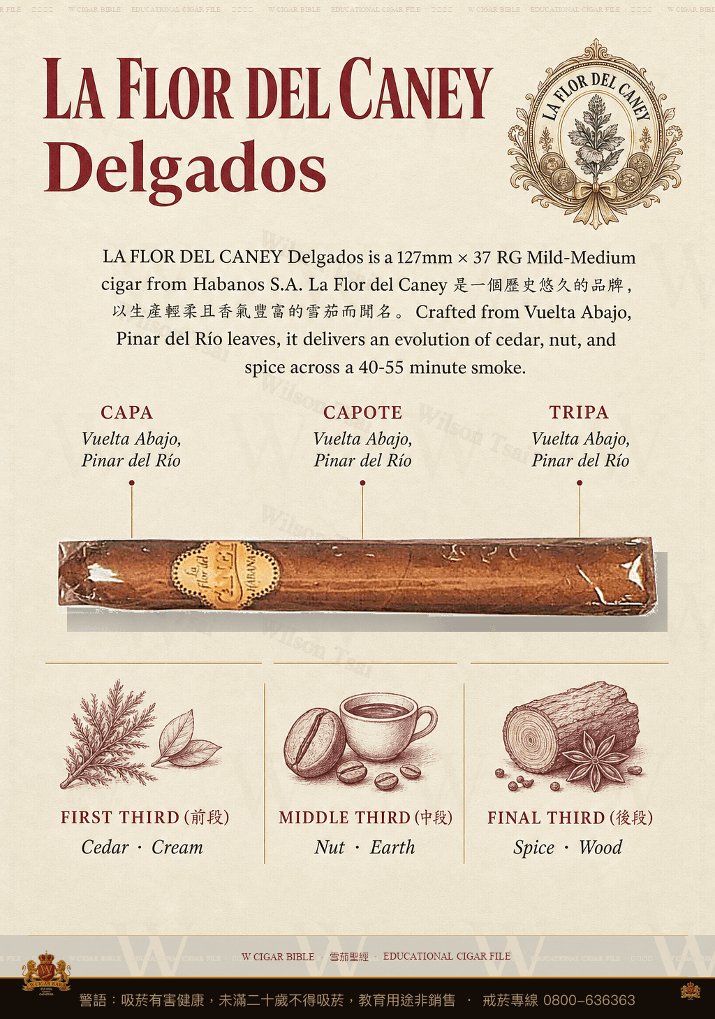 La Flor Del Caney Delgados · 卡內之花