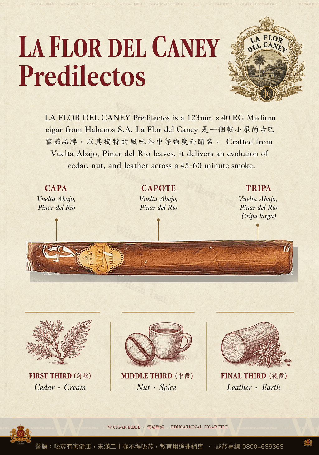 La Flor Del Caney Predilectos · 卡內之花