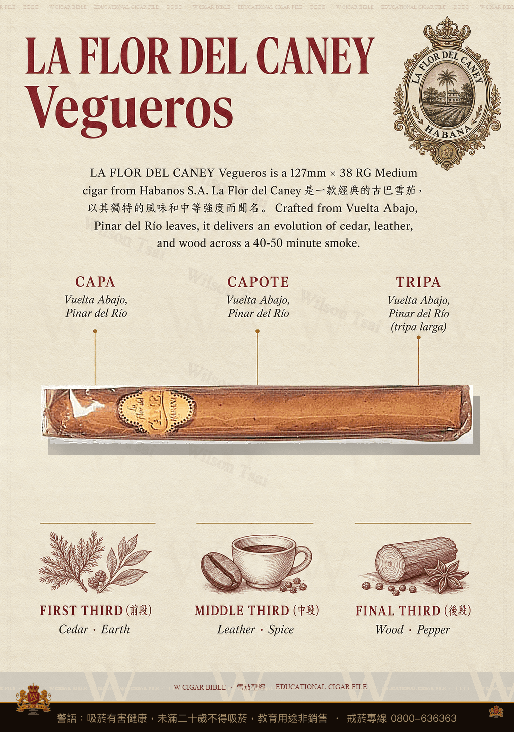 La Flor Del Caney Vegueros · 卡內之花