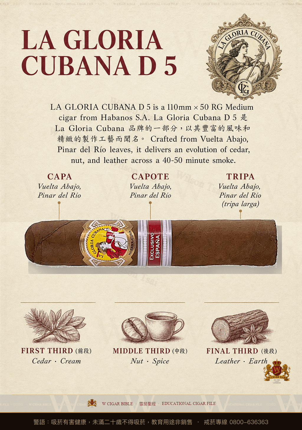 La Gloria Cubana D 5 · 古巴榮耀