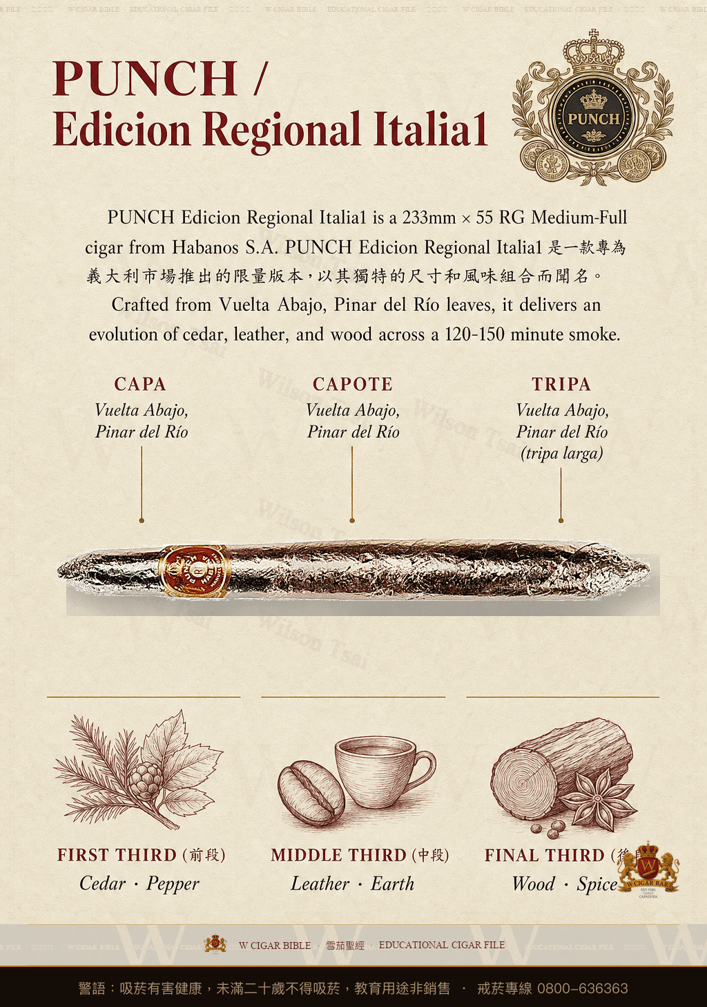 Punch Edicion Regional Italia1 · 潘趣