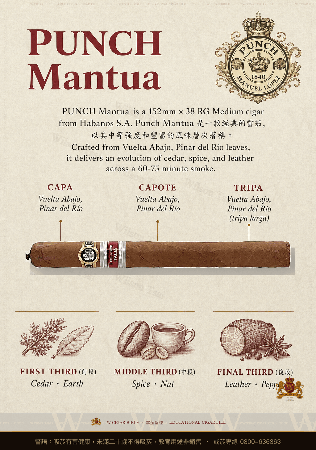 Punch Mantua · ER Italia · 潘趣