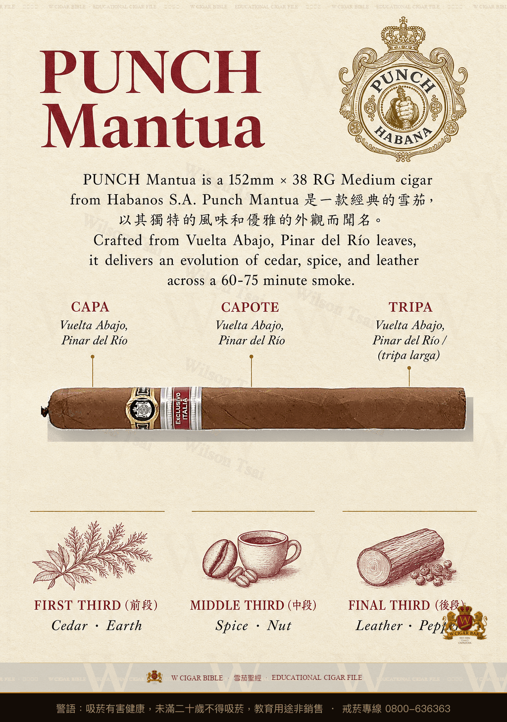 Punch Mantua · 潘趣