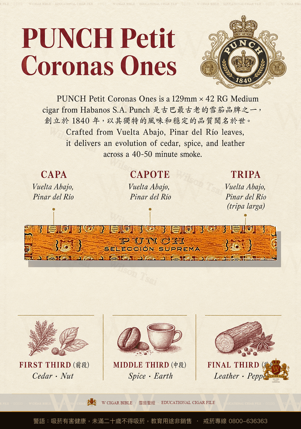 Punch Petit Coronas Ones · 潘趣