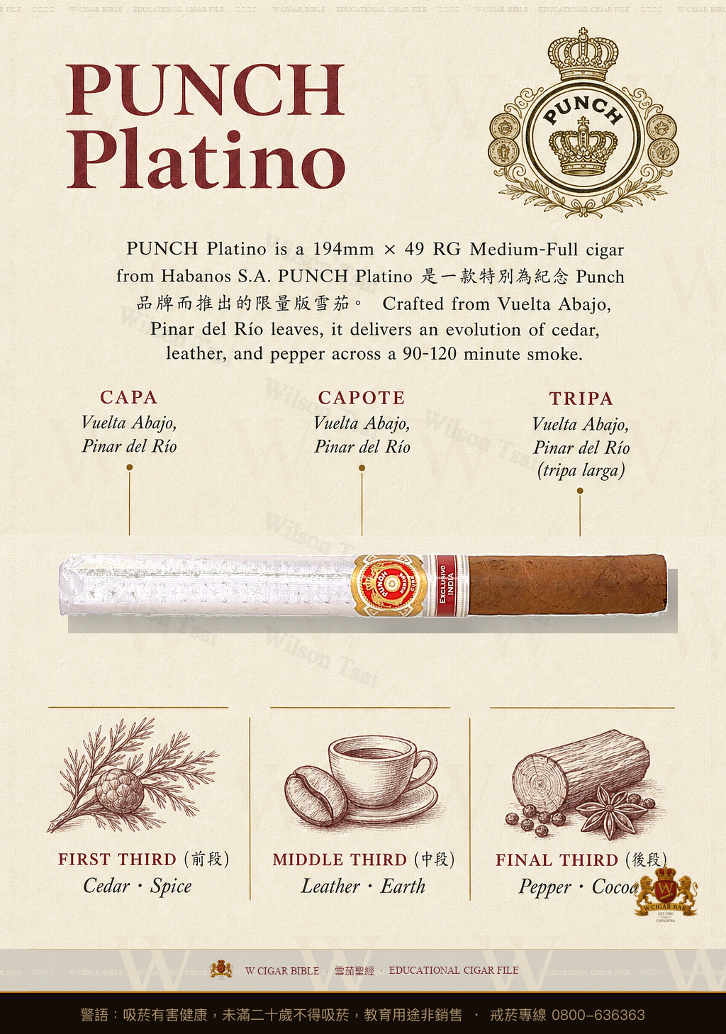 Punch Platino · ER 2009 India · 潘趣