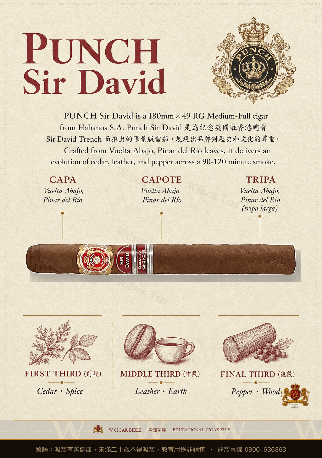 Punch Sir David · AH · 潘趣