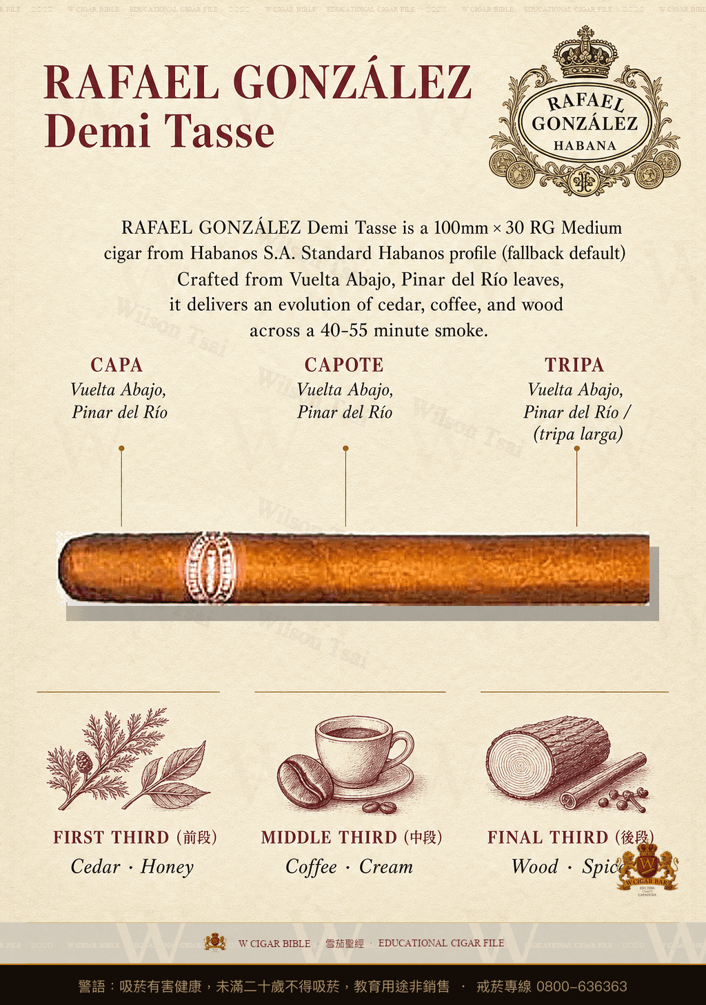 Rafael González Demi Tasse · 拉斐爾岡薩雷茲