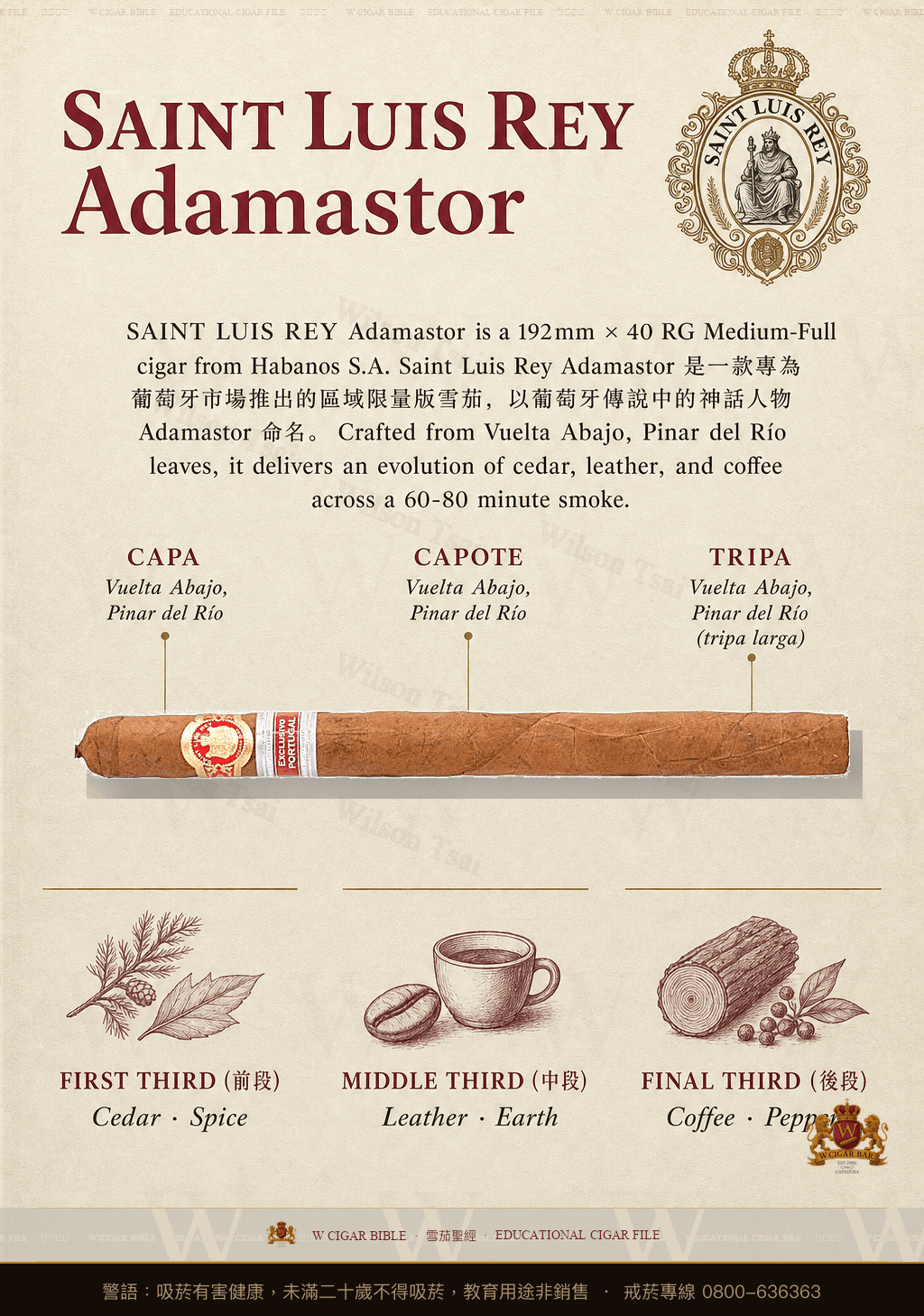 Saint Luis Rey Adamastor · ER 2017 Portugal · 聖路易斯雷