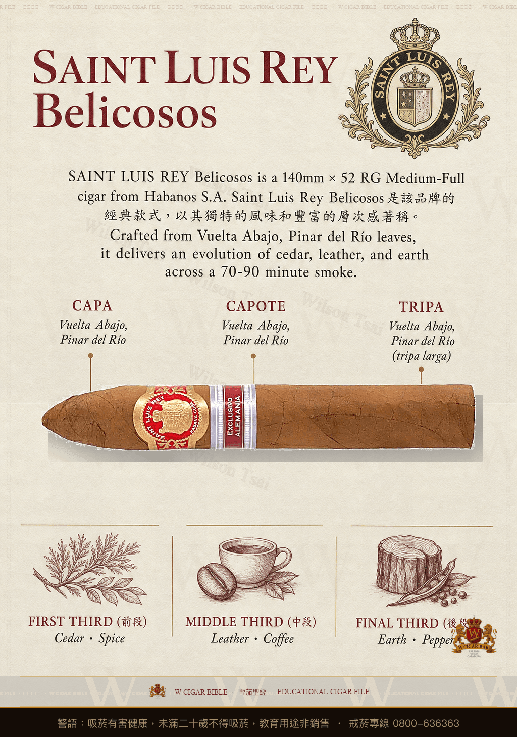 Saint Luis Rey Belicosos · 聖路易斯雷