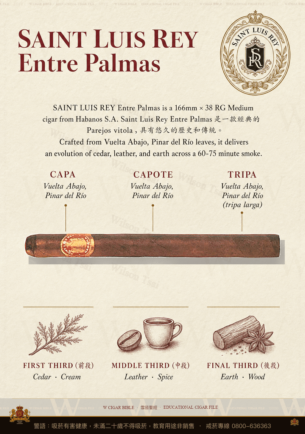Saint Luis Rey Entre Palmas · 聖路易斯雷