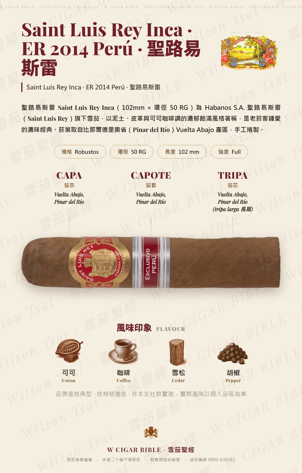 Saint Luis Rey Inca · ER 2014 Perú · 聖路易斯雷