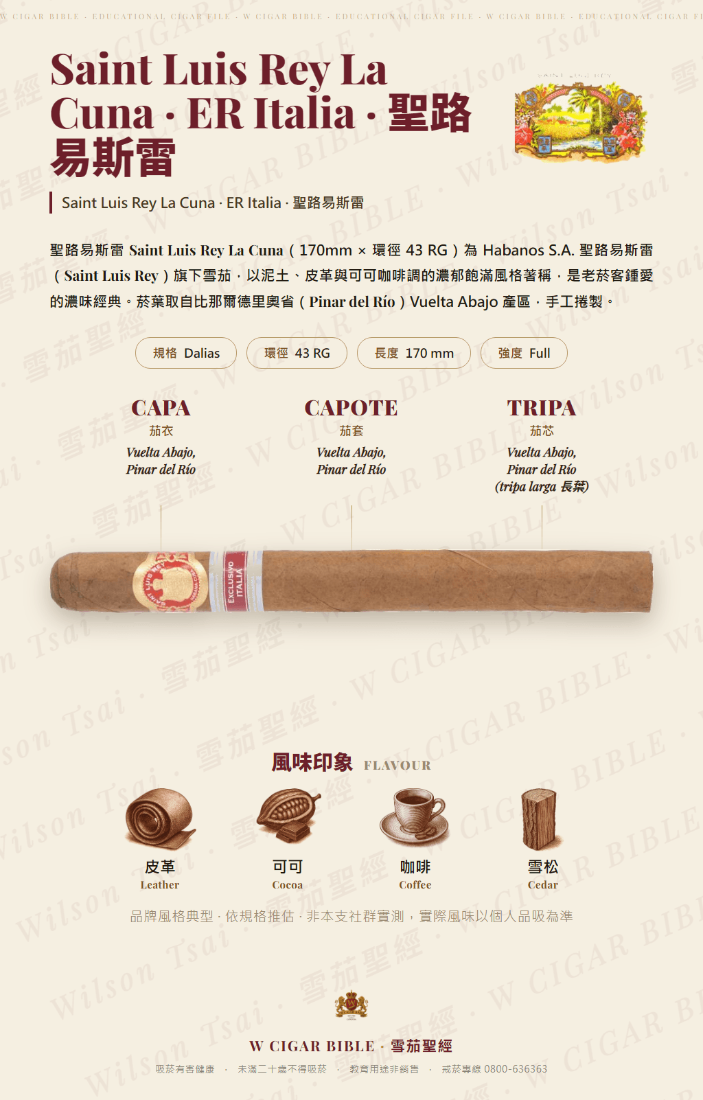 Saint Luis Rey La Cuna · ER Italia · 聖路易斯雷