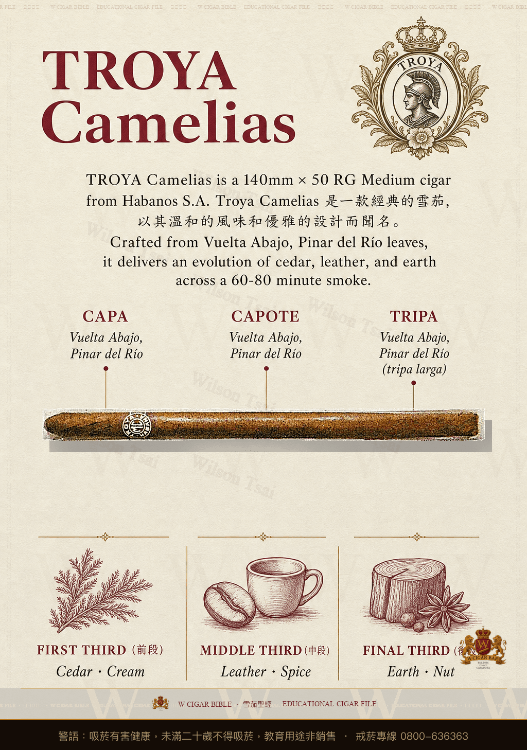 Troya Camelias · 特羅亞