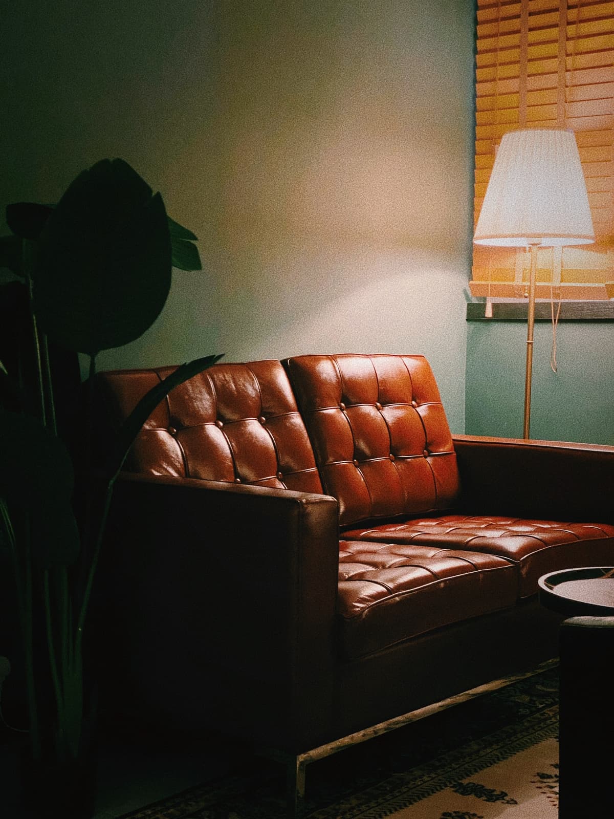 The Garden - Finest Cigars & Lounge