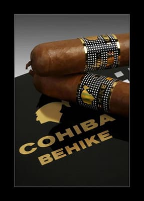 Cohiba Behike:2011 年哈瓦那國際博覽會金獎與品質獎