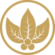 尼加拉瓜之星 logo