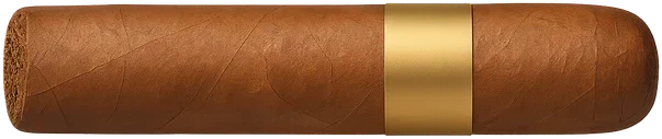 robusto 雪茄形狀比例示意（AI 依廠規比例生成）